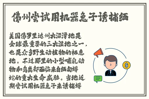51cg吃瓜往期内容
